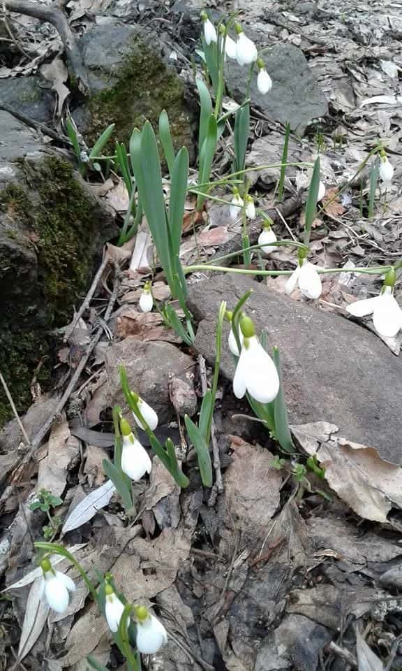 2053994e-eefe-4189-b568-30dea1f451c8