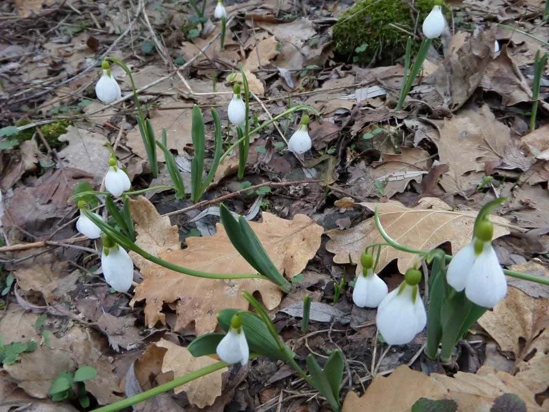 4e2091aa-9efc-4ecf-8abc-c56b559bf03c