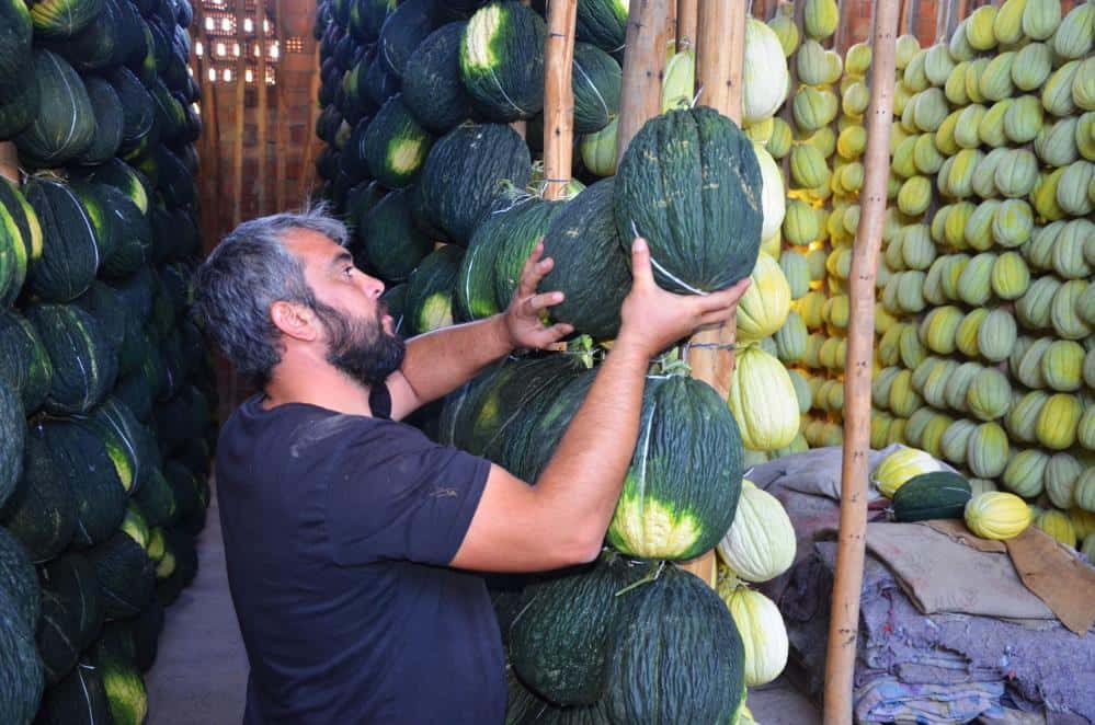 AB tescilli kavunlar, klimalı ve ozon makineli depolarda askıya alındı