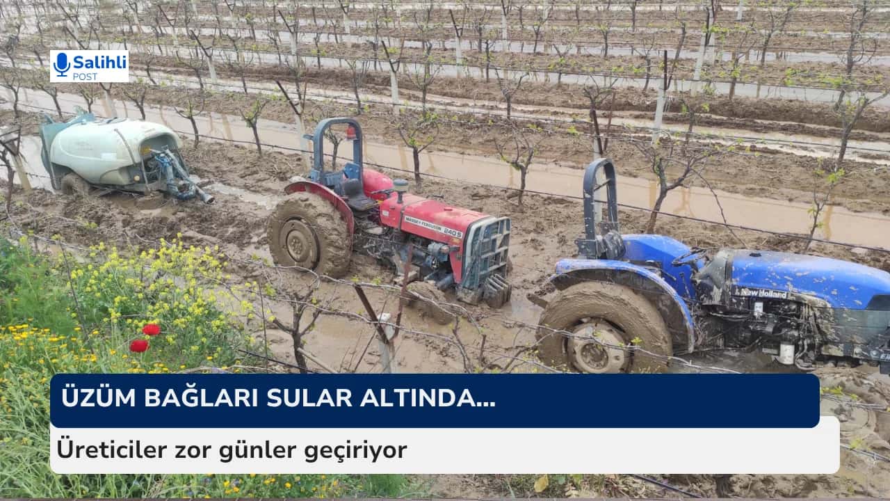 Üzüm bağları sular altında… Üreticiler zor günler geçiriyor