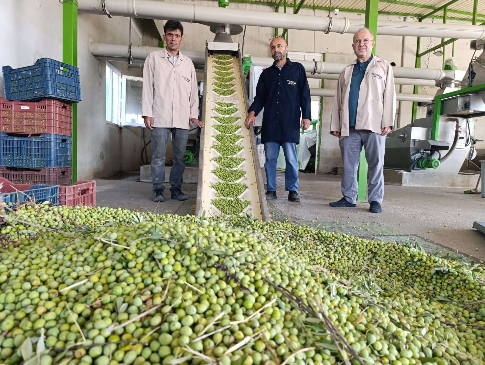 Fabrikalarda yağ sıkım mesaisi başladı
