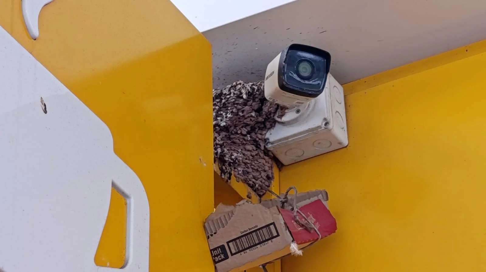 Salihli'de doğa ile teknolojinin ilginç buluşması