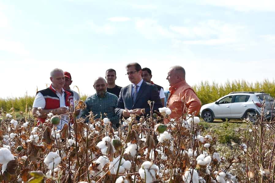 Pamukta yeni sezon ! Salihli Ovası’nda ilk makine sesleri duyuldu