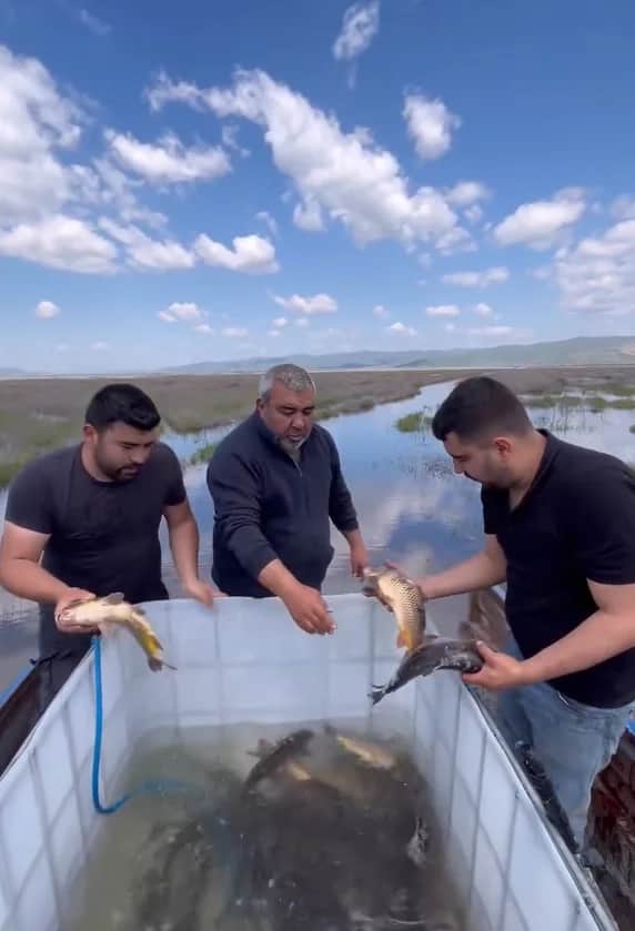 120 Balık, Tek Bir Umut ! Marmara Gölü Yaşasın