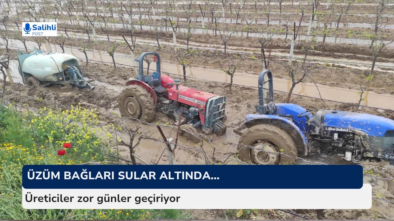 Üzüm bağları sular altında… Üreticiler zor günler geçiriyor