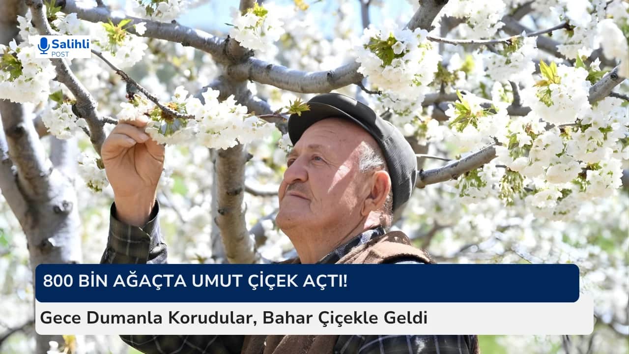 800 Bin Ağaçta Umut Çiçek Açtı! 