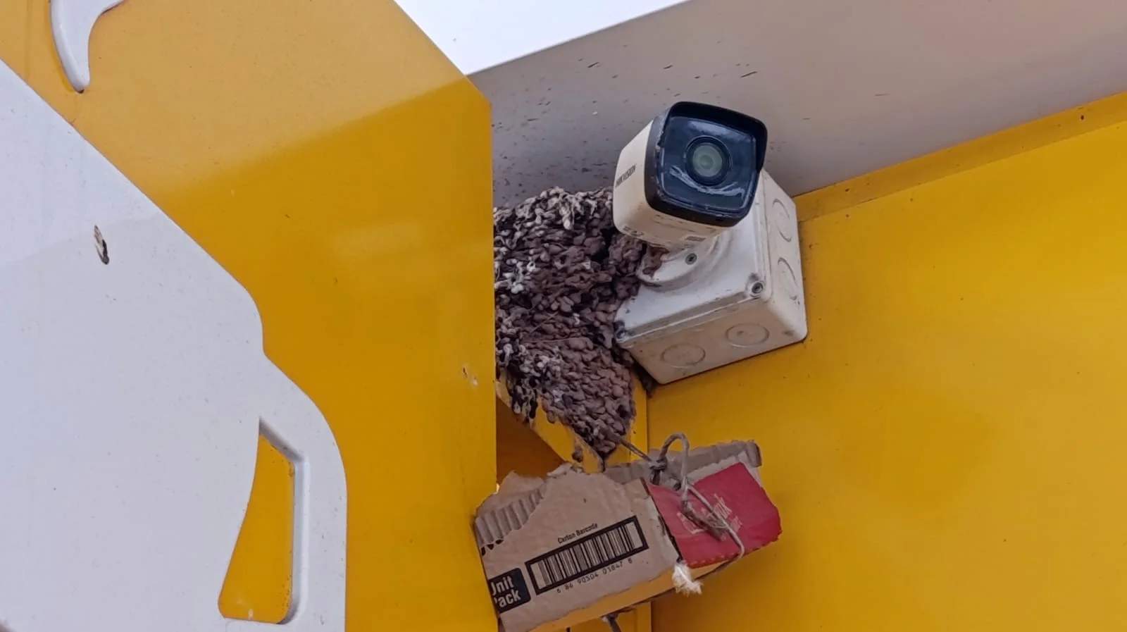 Salihli'de doğa ile teknolojinin ilginç buluşması