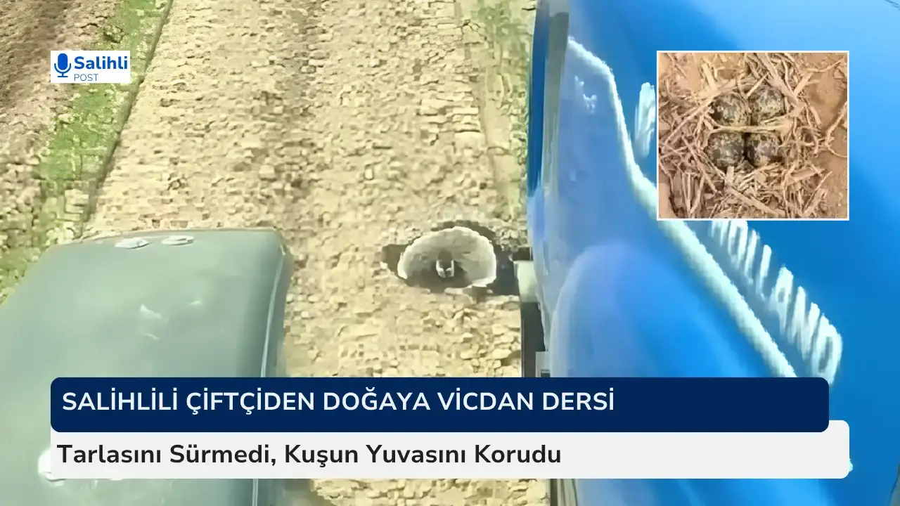 Salihlili Çiftçiden Doğaya Vicdan Dersi