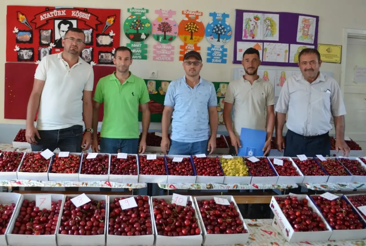 Gördes Börez Mahallesi 4. Kiraz Festivali'ne Hazırlanıyor