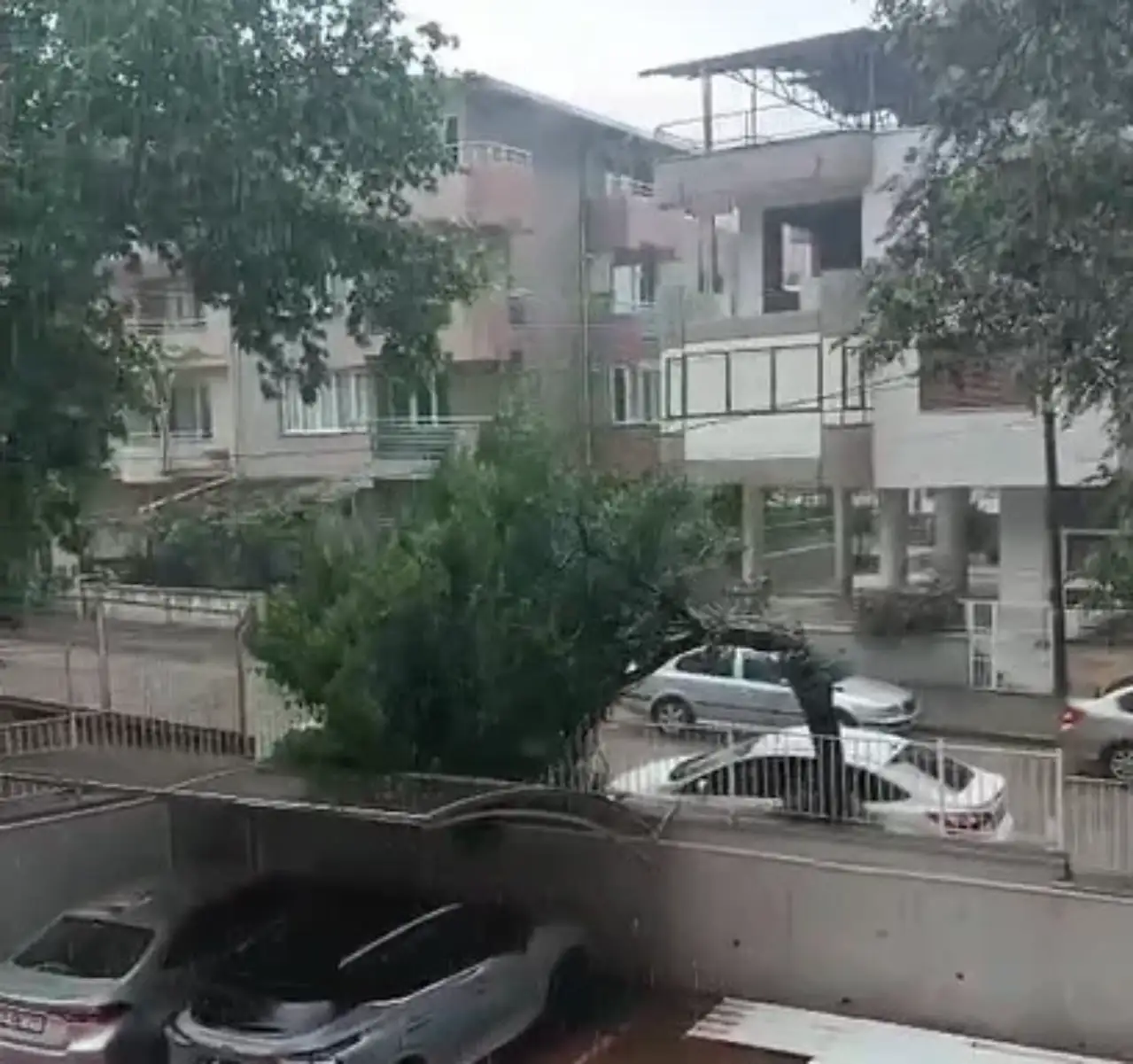 Salihli’de Korkutan Anlar... Ağaç Böyle Devrildi
