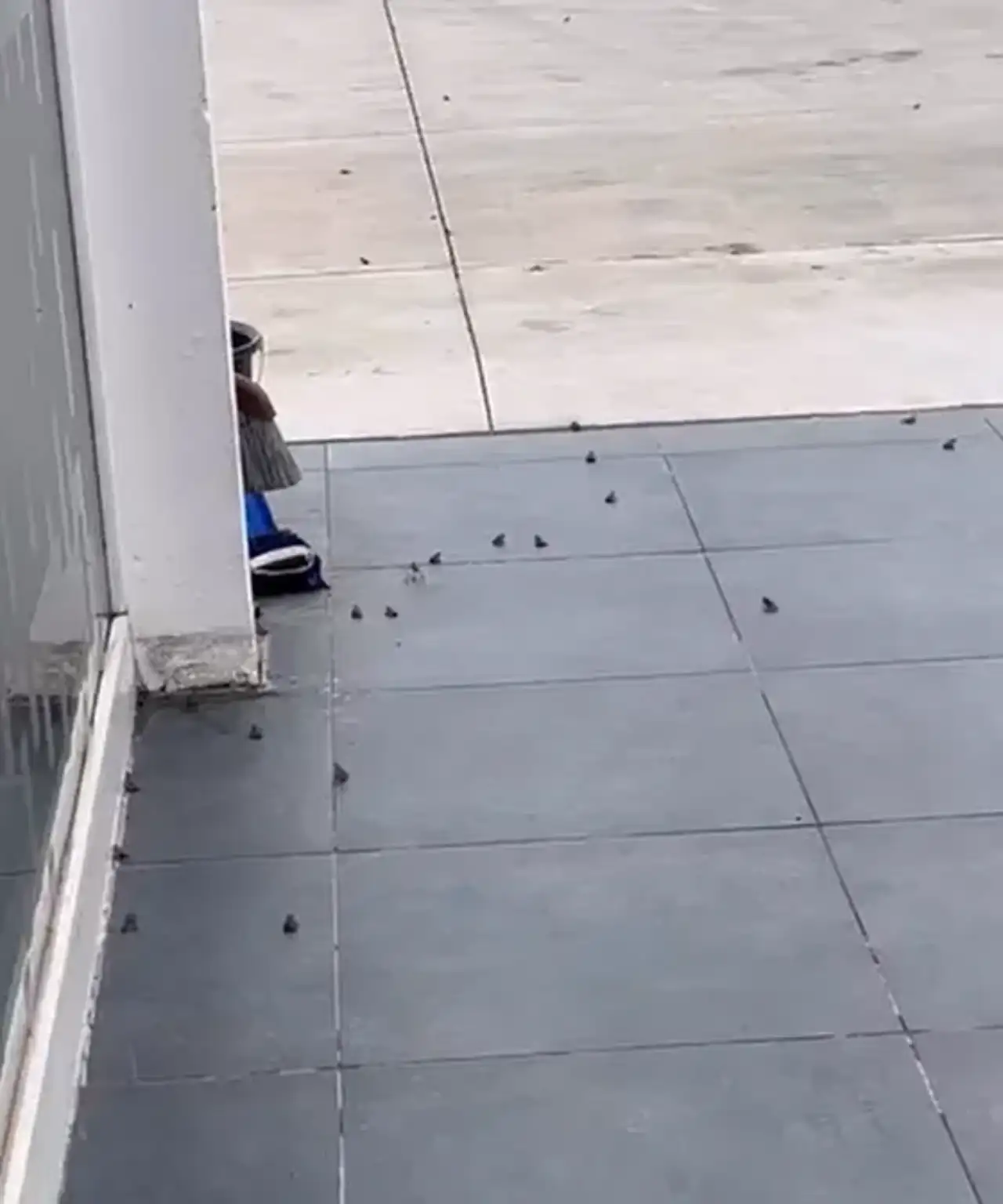 Salihli’de doğal yaşamda dikkat çeken hareketlilik