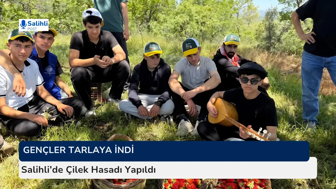 Gençler Tarlaya İndi... Salihli’de Çilek Hasadı Yapıldı