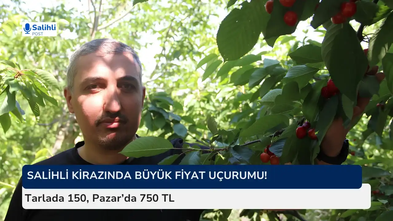 Salihli Kirazında Büyük Fiyat Uçurumu! Tarlada 150, Pazar’da 750 TL