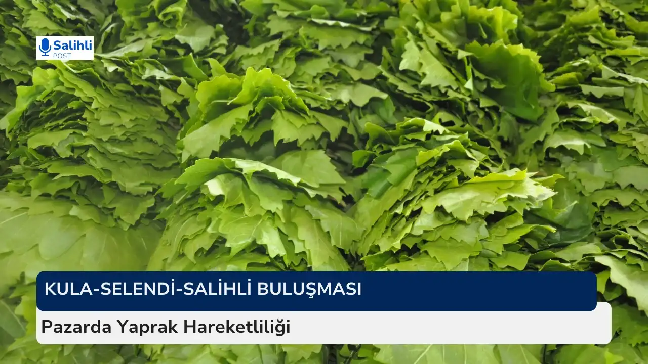 Salihli’de Asma Yaprağı Tezgâhlarda Yerini Aldı