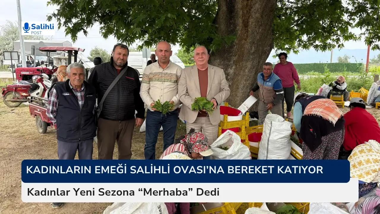 Salihli’nin Bereketli Ovasında Yaprak Hareketliliği