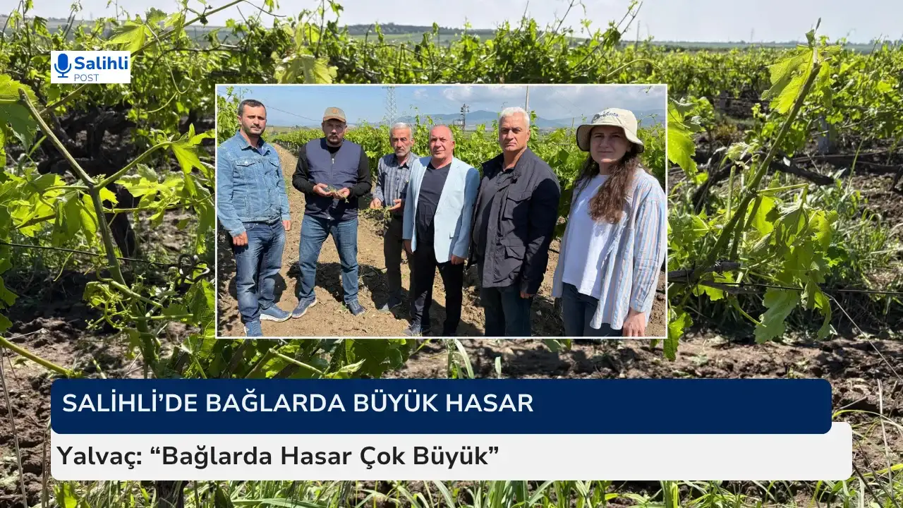 Yalvaç 'Bağlarda Hasar Çok Büyük'