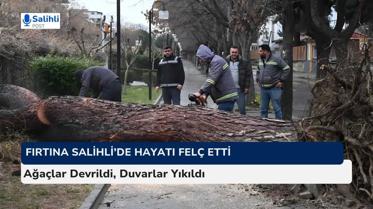Salihli’de fırtına nedeniyle onlarca ağaç devrildi