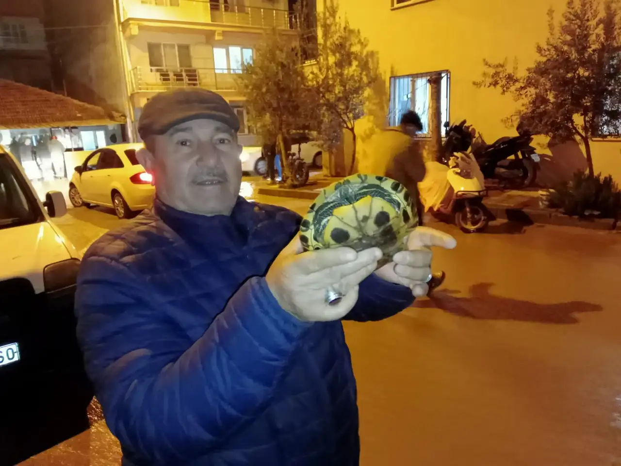 Selden kaçan kaplumbağayı vatandaşlar kurtardı