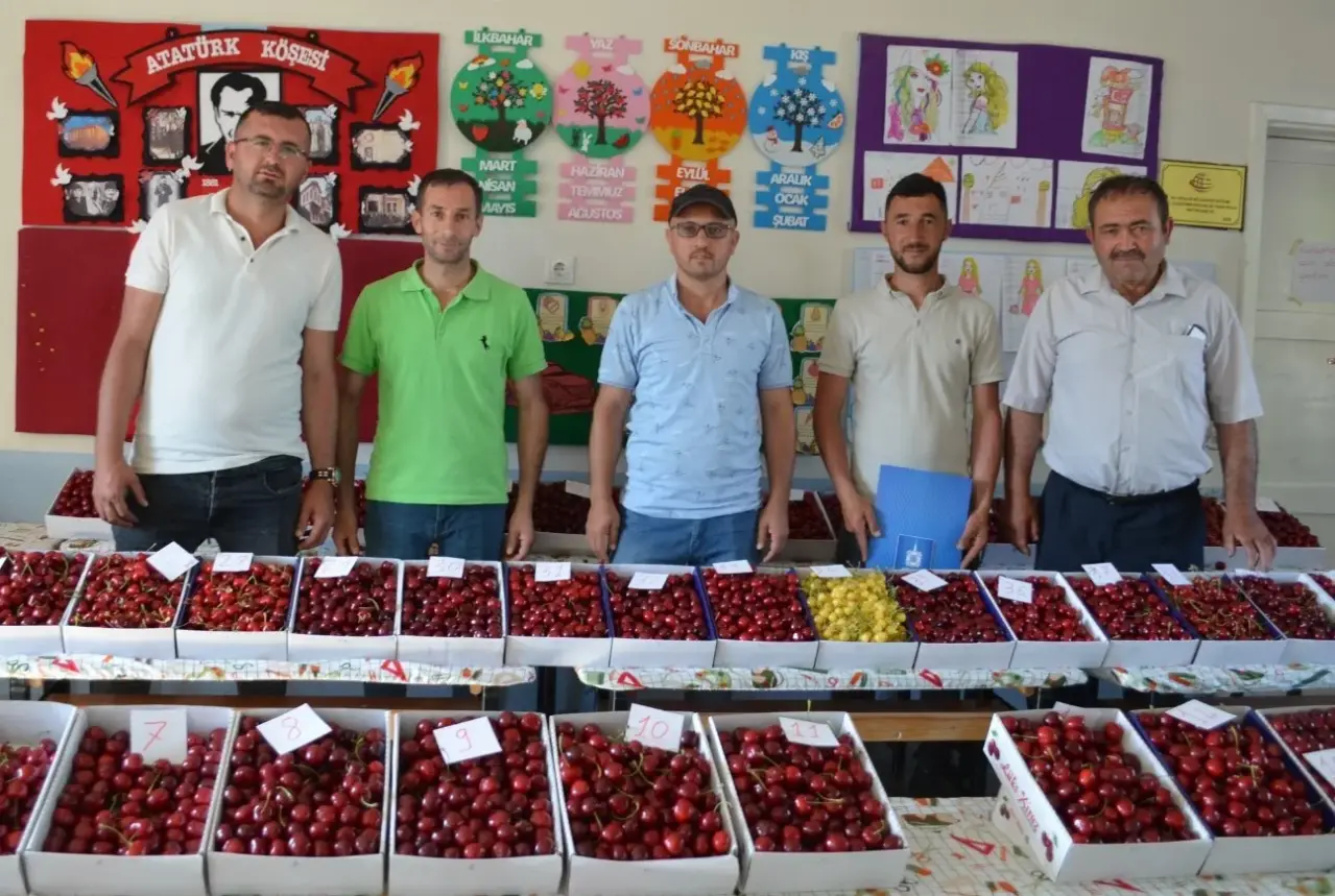 Gördes Börez Mahallesi 4. Kiraz Festivali'ne Hazırlanıyor